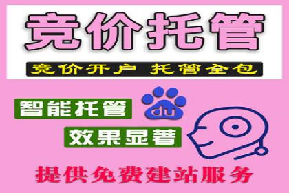 深入解析：SEM操作流程及其实战案例